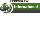 Goodfellow International
