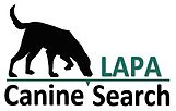Lapa Security
