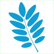 Rowan Engineering