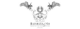 Hausmann & Co GmbH