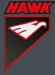 Qiqihar Hawk Industries Co Ltd