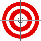 Accurate Firearms, LLC