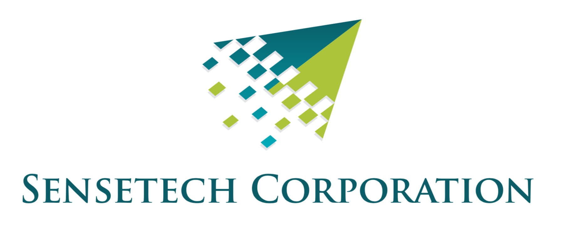 Sensetech Corporation