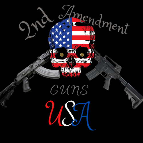 Second Amendment Gun USA