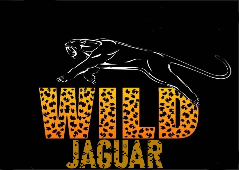 Wild Jaguar Gun