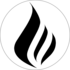 PLAN BETA LTD