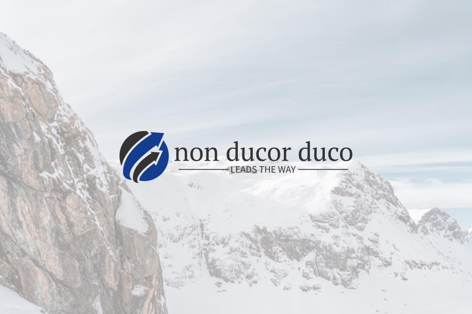 Non Ducor Duco Oy