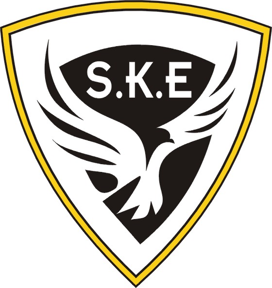 SK Engineering Arms & Ammunition Manufacturer / Dealers