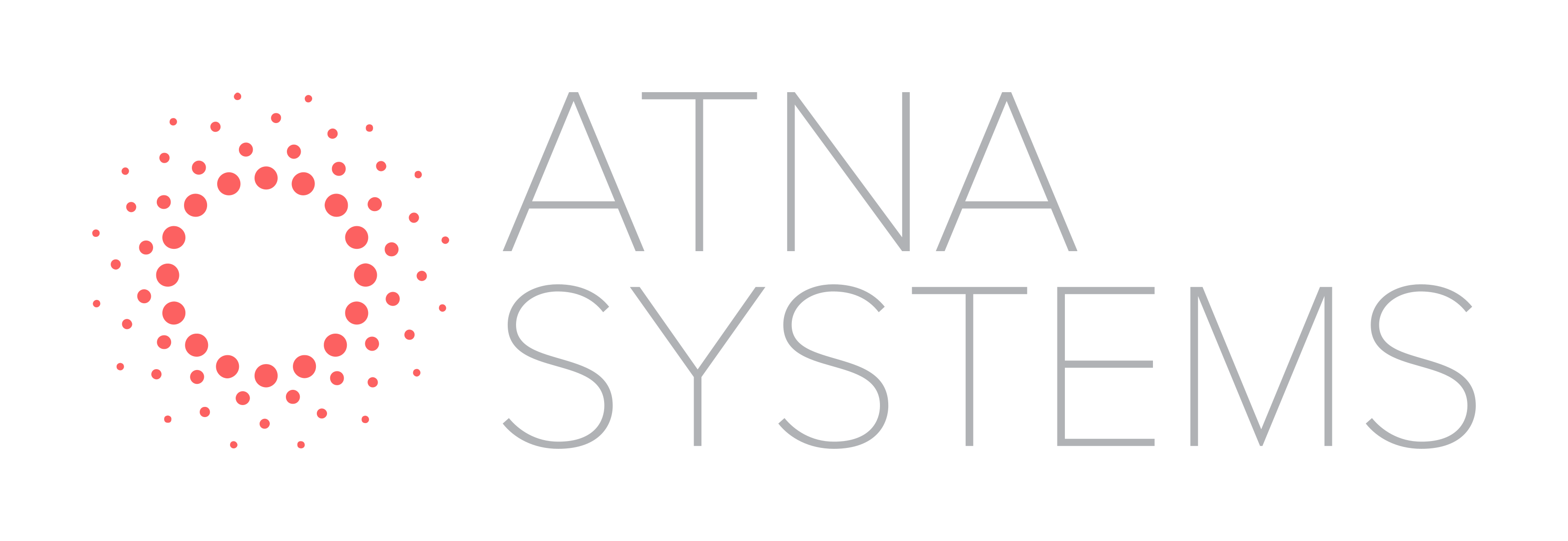 ATNA SYSTEMS