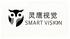 Smartvision(shenzhen) Intelligence Co., Ltd.