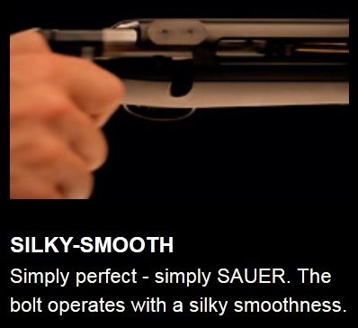 SAUER 101 CLASSIC STD WALNUT STOCK