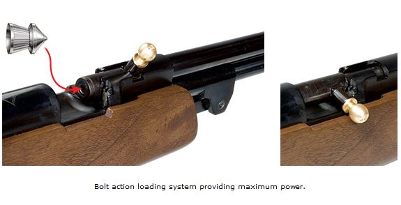 150 TORPEDO .177 BLACKPOLY STOCK TRU-GLO SIGHT