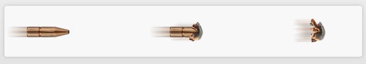 RWS BULLETS .308 150GR KS - CONED SP