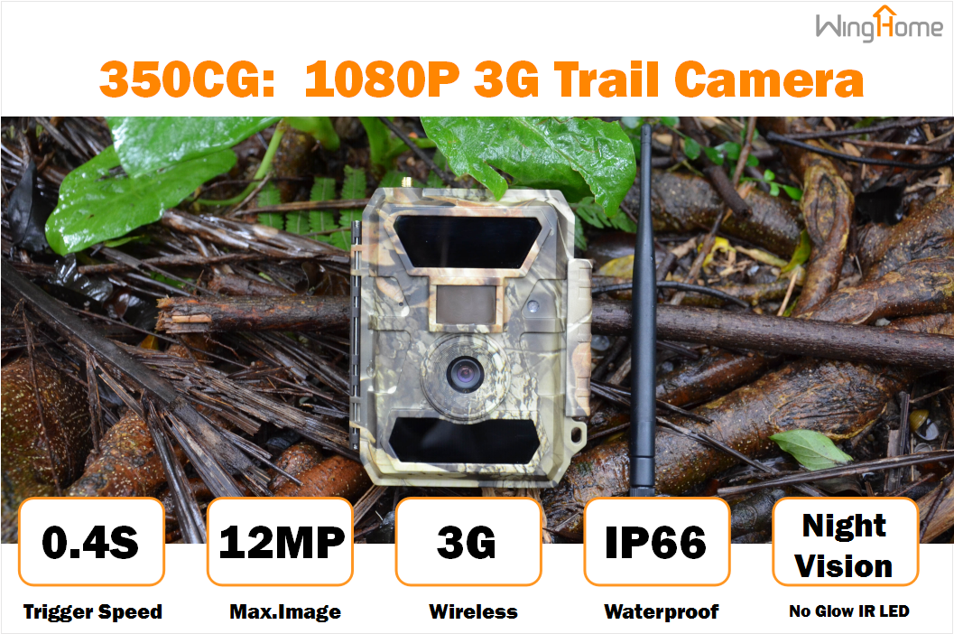 3G Wildlife Hunting Trail Camera
