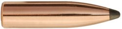 1640 .25 117GR SPITZER