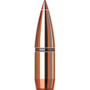 30 CAL .308 180 GR SST