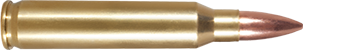Armscor USA .223 Rem. 20 Rounds FMJ 55 Grain ammo