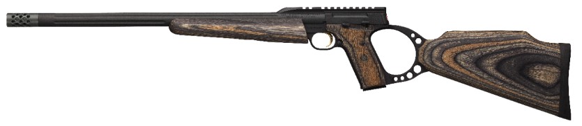 Browning Buck Mark Target