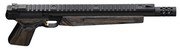 Browning Buck Mark Varmint Suppressor Ready.