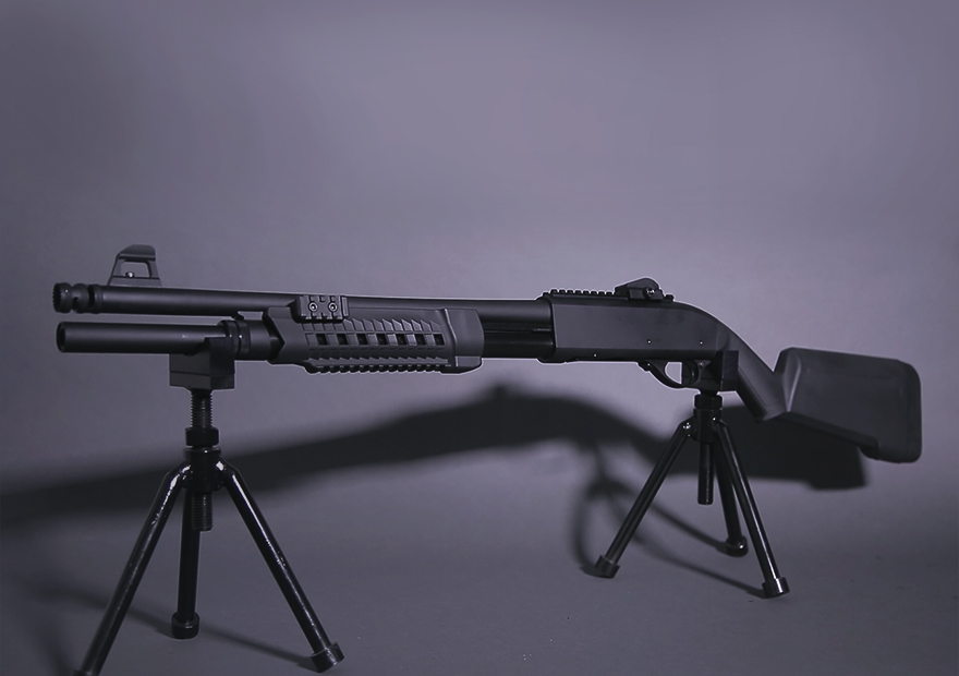 DASAN RAPID V_1 STANDARD.