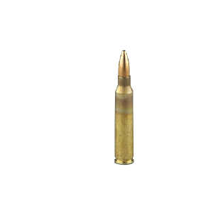 5.56x45 FMJ 55 grs