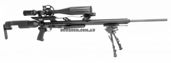Texan single shot big bore PCP air rifle