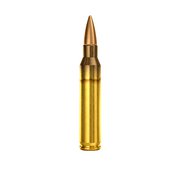 5.56x45mm Ammunition