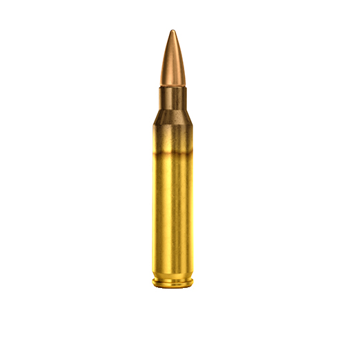 5.56x45mm Ammunition