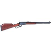 Henry Varmint Express .17 HMR
