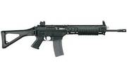 SIG 556 Classic SWAT