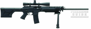 SIG 556 DMR