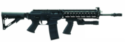 SIG 556 SWAT