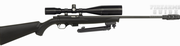 Mossberg 817 Bolt Action Scoped Combo
