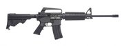 DPMS Lite 16