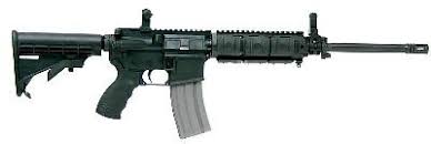 Bushmaster 16in Modular Carbine