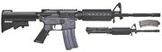 Bushmaster C15 / C22 Combo Rifle