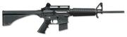 Bushmaster Carbon 15 .22LR Rimfire Rifle