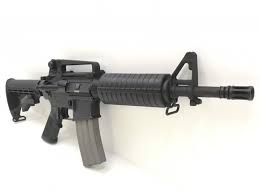 Bushmaster Entry Carbine 11.5