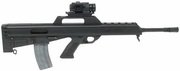 Bushmaster M17S