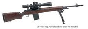 Springfield M21 Tactical Rifle