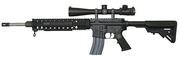 Armalite M-15TBN
