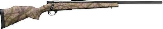 Weatherby Vanguard Sage Country Custom