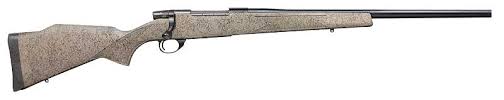 Weatherby VANGUARD VARMINT SPECIAL