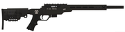 AB 22 Chassis Rifle