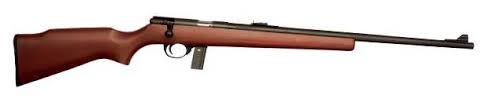 Armscor M1700