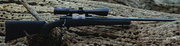 HOWA HOGUE M-1500