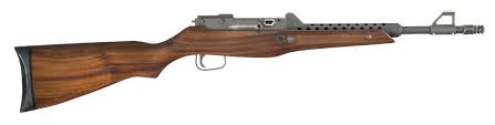 Lakeside Guns Vindicator BF1 Carbine