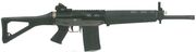 SIG SG 751 SAPR SB