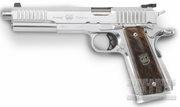 Arsenal Firearms AF2011 Dueller Stainless.