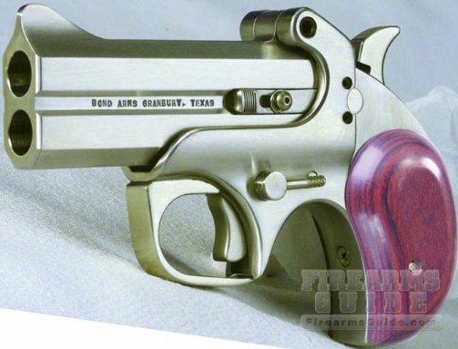 Bond Arms Century 2000.